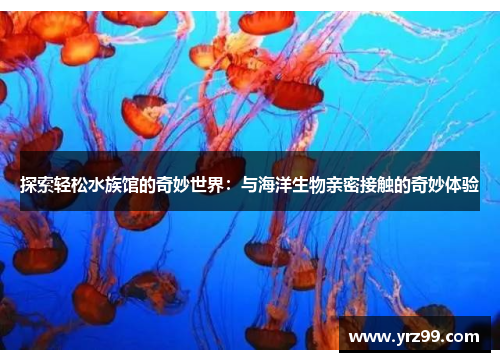 探索轻松水族馆的奇妙世界：与海洋生物亲密接触的奇妙体验
